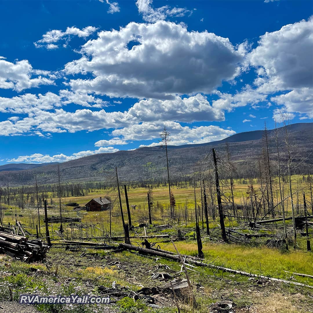 Wildfire Damage