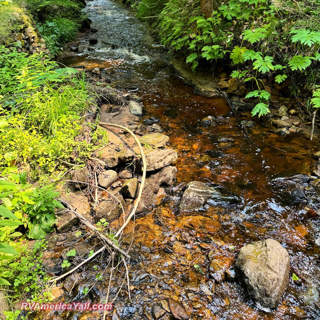 Lots of Beauty to Discover