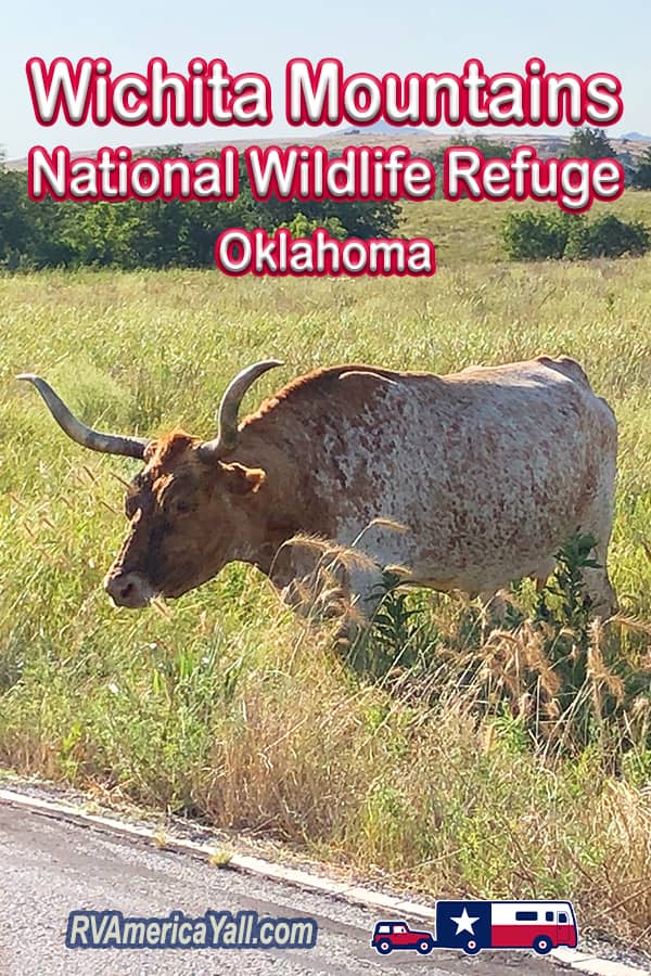 Wichita Mountains National Wildlife Refuge Pin