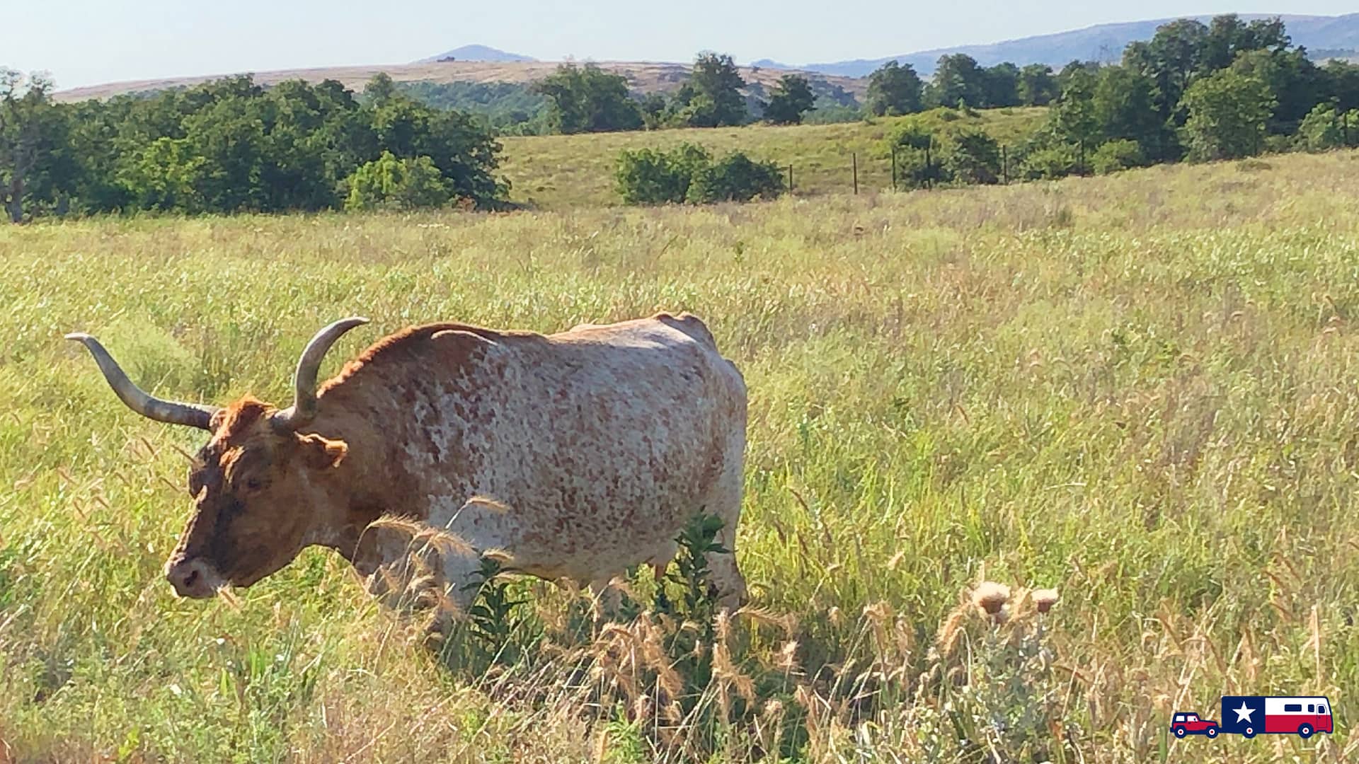 Wichita Mountains National Wildlife Refuge OK