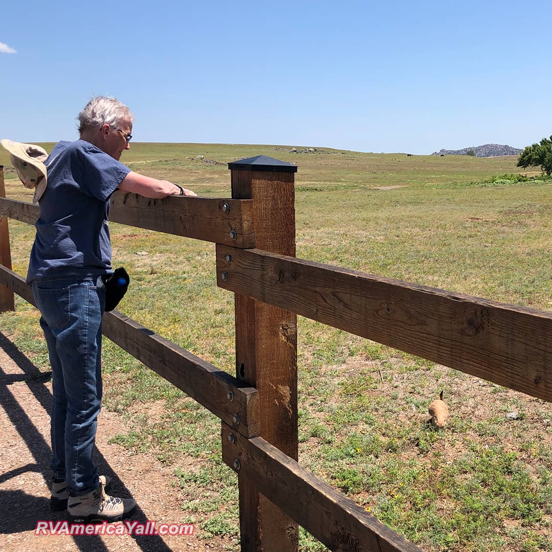 Grammy K Visiting Prairie Dog Town