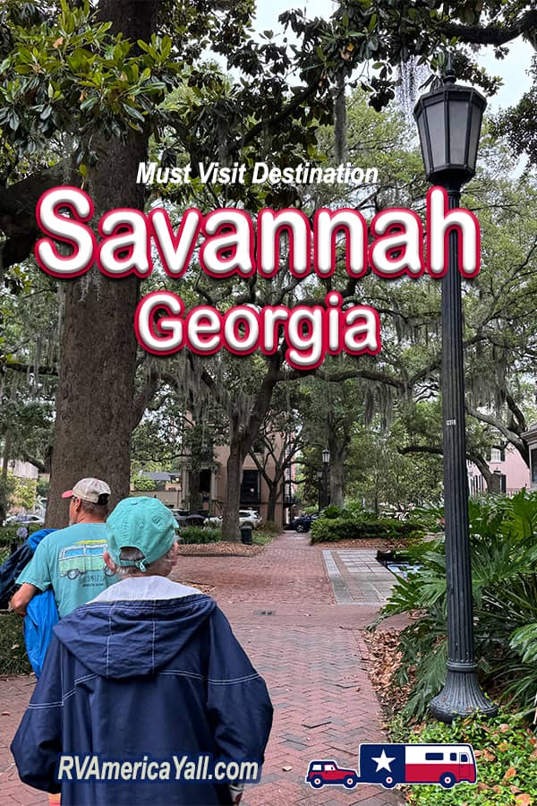 Savannah GA Pin