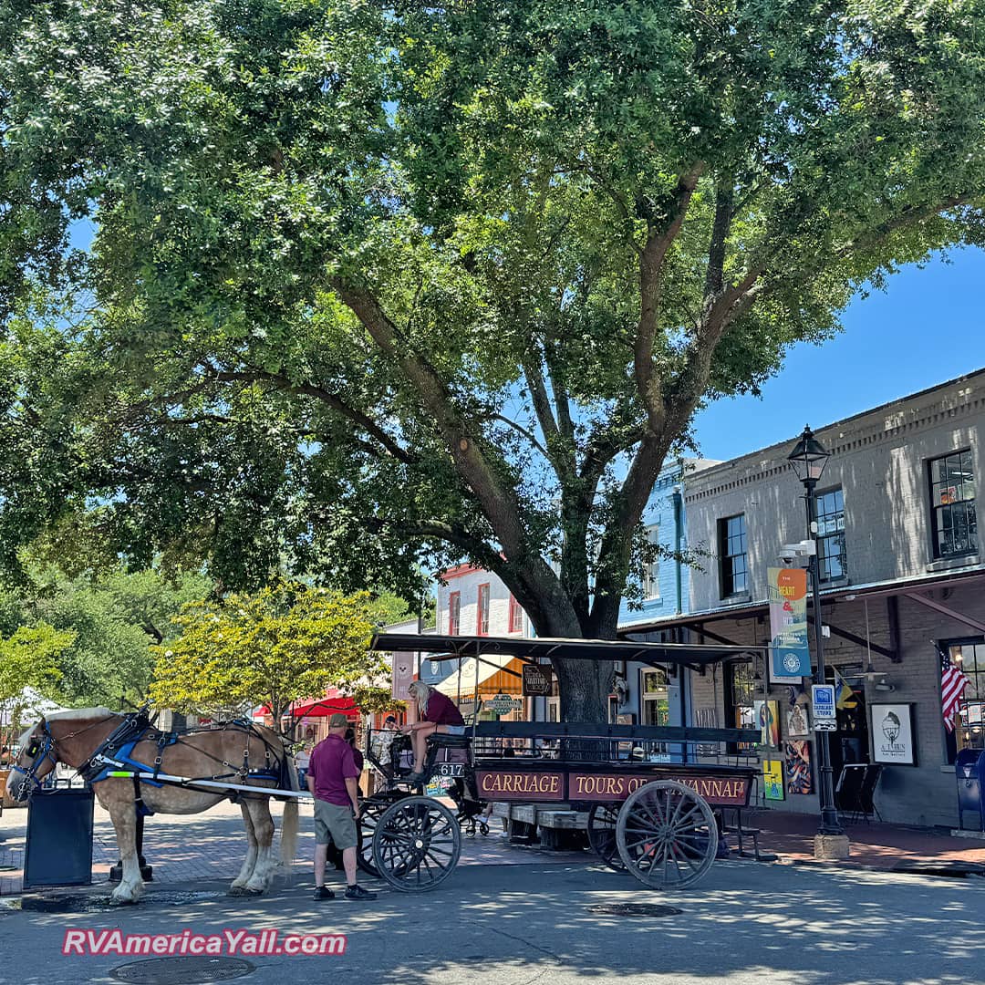 Carriage Tours