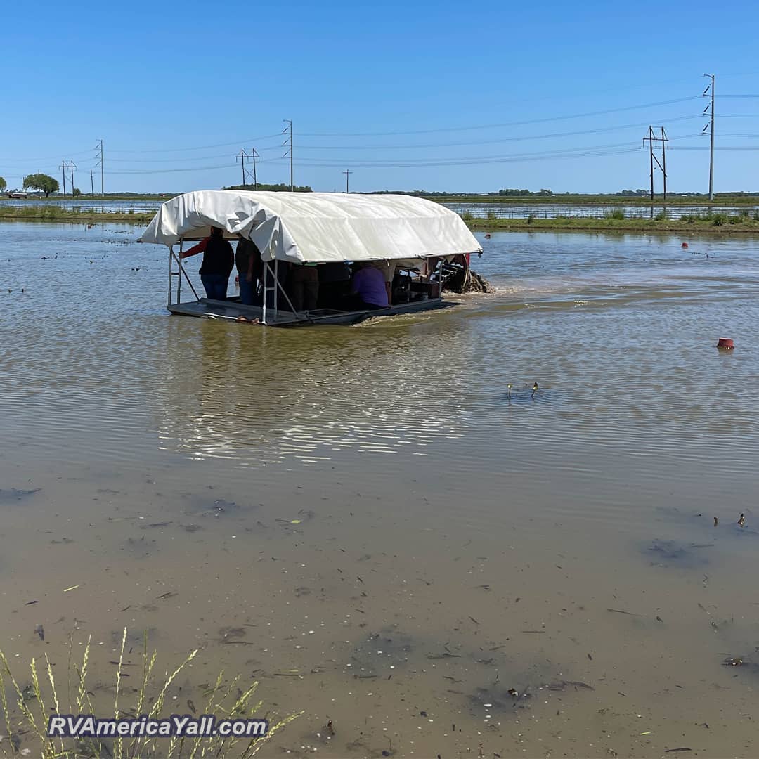 Crawfish Pond