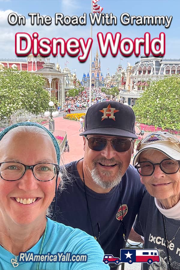 Visiting Disney World Pin
