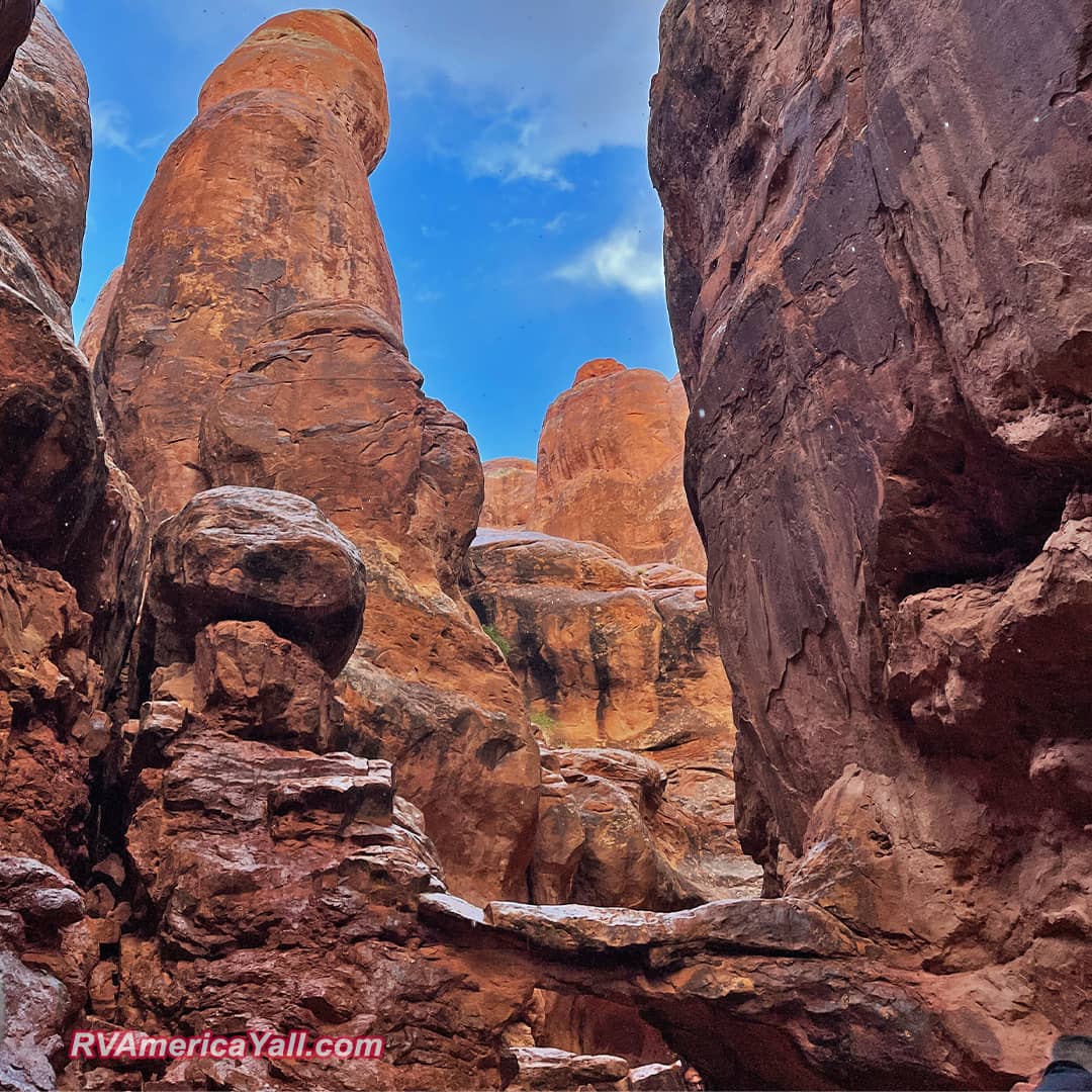 The Fiery Furnace Is Like Another World