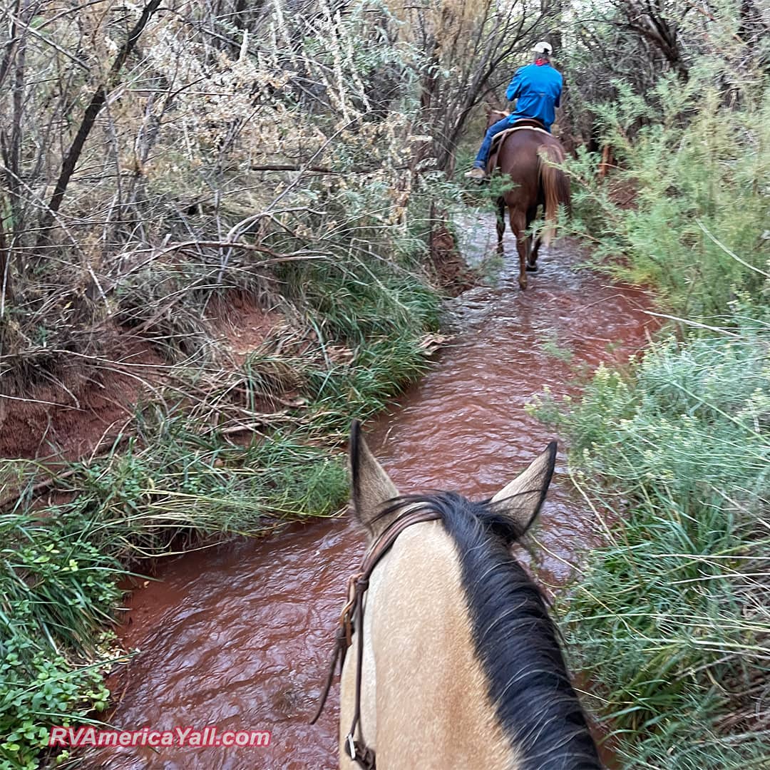 Meandering Along the Creek